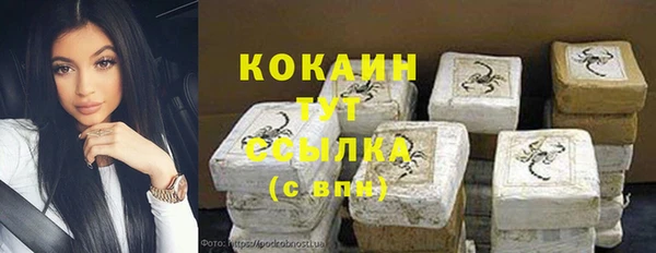 не бодяженный Гусев