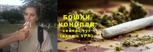 мяу мяу кристалл Гусь-Хрустальный