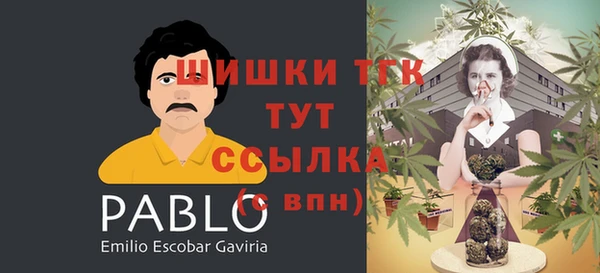 не бодяженный Гусев