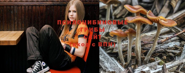 не бодяженный Гусев