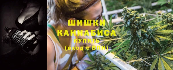 не бодяженный Гусев