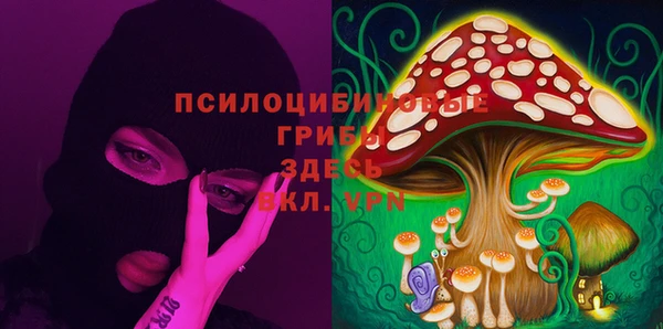 не бодяженный Гусев