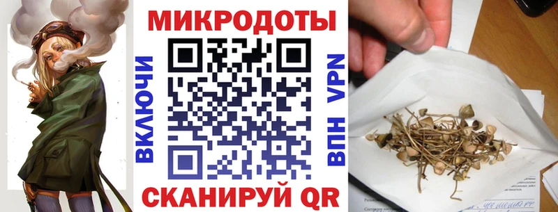 где продают наркотики  Петров Вал  гидра зеркало  Галлюциногенные грибы Psilocybine cubensis 